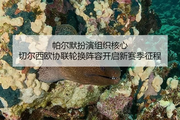 pa-er-mo-ban-yan-zu-zhi-he-xin-qie-er-xi-ou-xie-lian-lun-huan-zhen-rong-kai-qi-xin-sai-ji-zheng-cheng-3-251.jpg