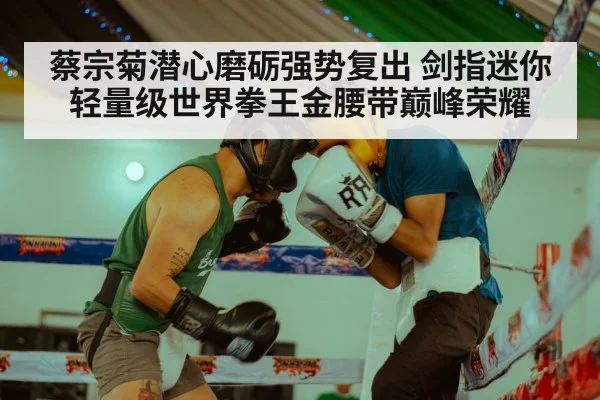 蔡宗菊潜心磨砺强势复出 剑指迷你轻量级世界拳王金腰带巅峰荣耀
